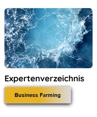 Immobilien Experten in Deutschland